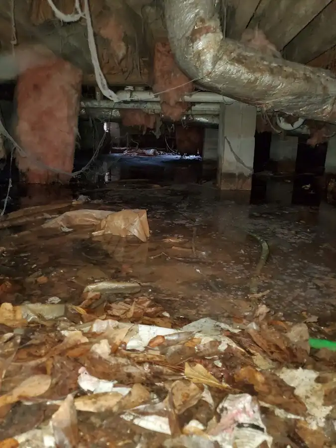 Crawl space flood assessment for Leak Detection & Repair in West Perrine